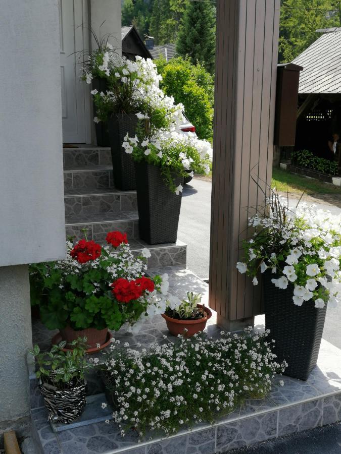 Apartma Simona Bohinj Buitenkant foto